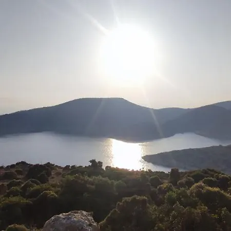 Odysseas *